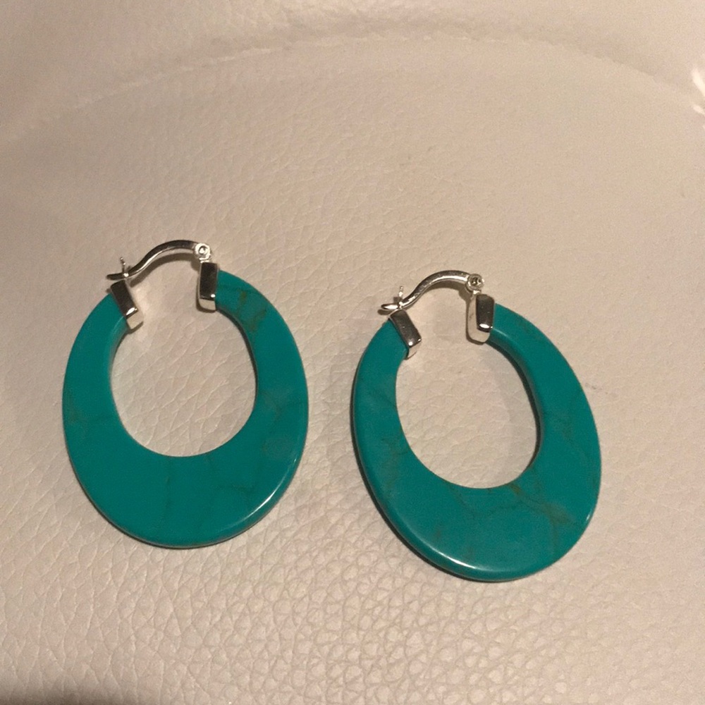 Genuine sterling silver and tortoise loops